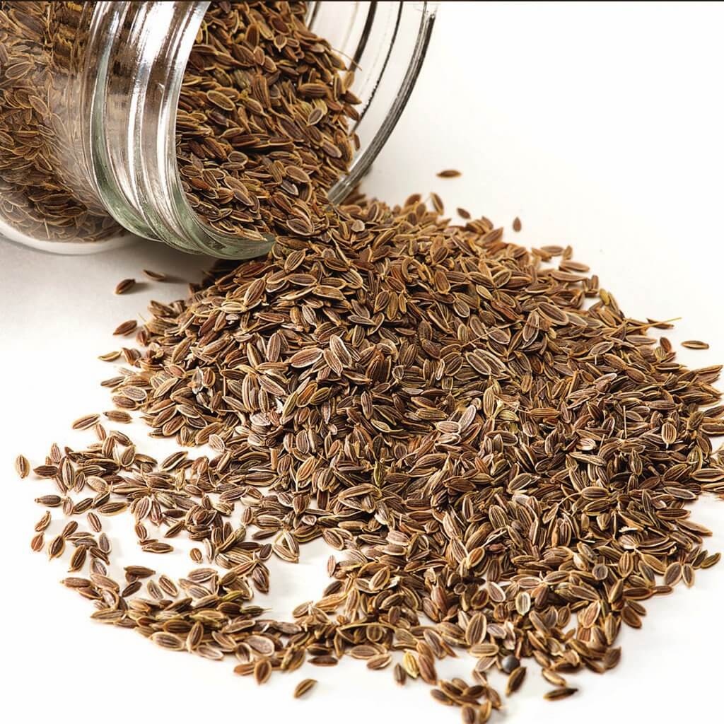 dill-seeds