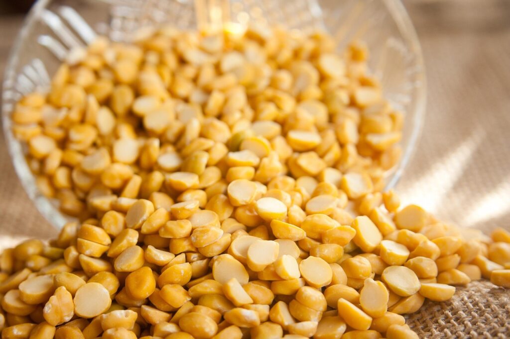 daal, chana, lentils, indian, cuisine, oriental, legume, pulses, dal, food, asian, dish, orange food, daal, daal, chana, lentils, lentils, lentils, pulses, pulses, pulses, dal, dal, dal, dal, dal
