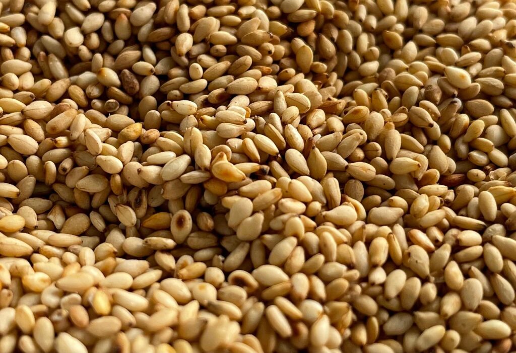 sesame seeds, grains, roasted sesame, seeds, nutrition, healthy, superfood, sesame seeds, sesame seeds, sesame seeds, sesame seeds, sesame seeds
