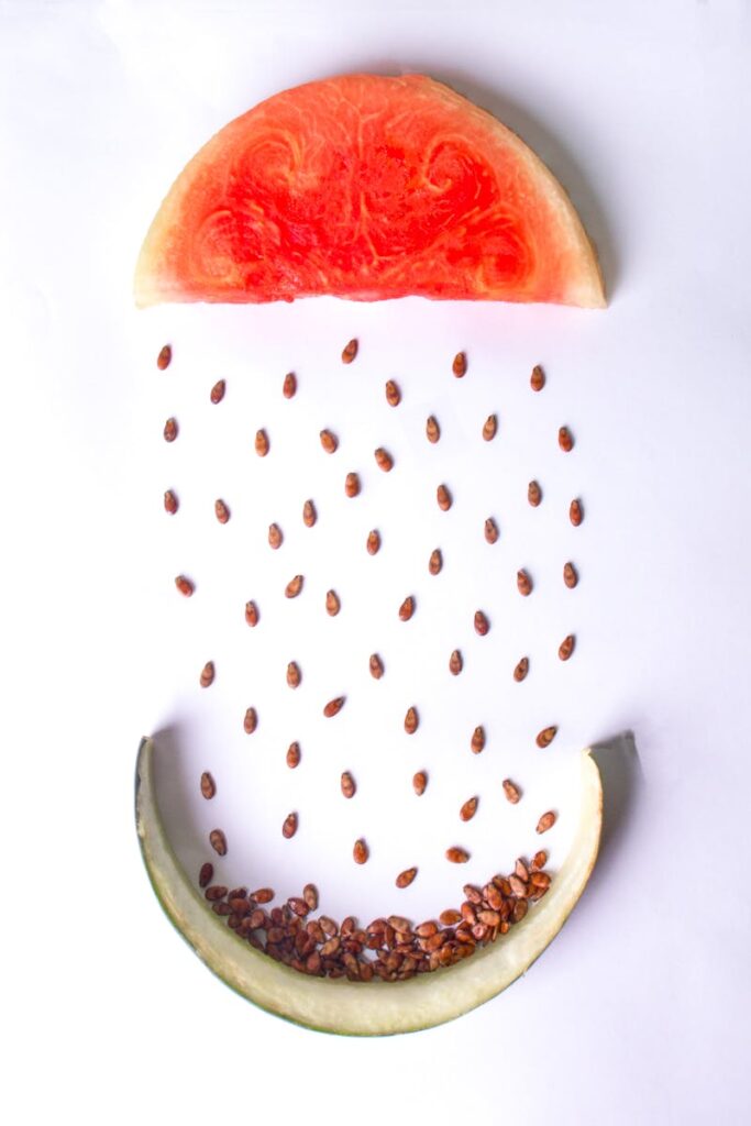 Artistic arrangement of watermelon slices with seeds on white background, creating an imaginative pattern.