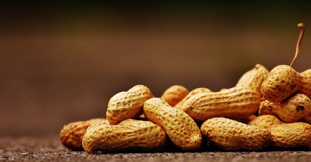 groundnuts carousel