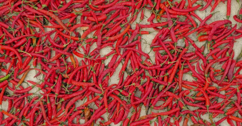 red chillies carousel