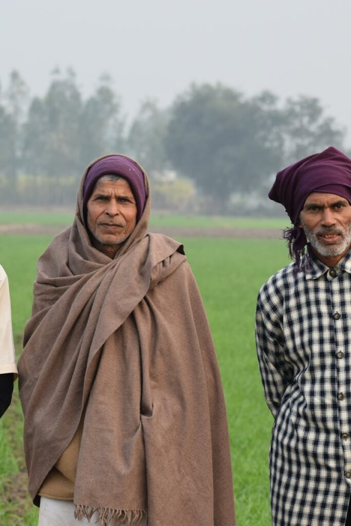 Portrait of three senior Indian farmers in traditional attire standing in a green field, Kanpur, India.