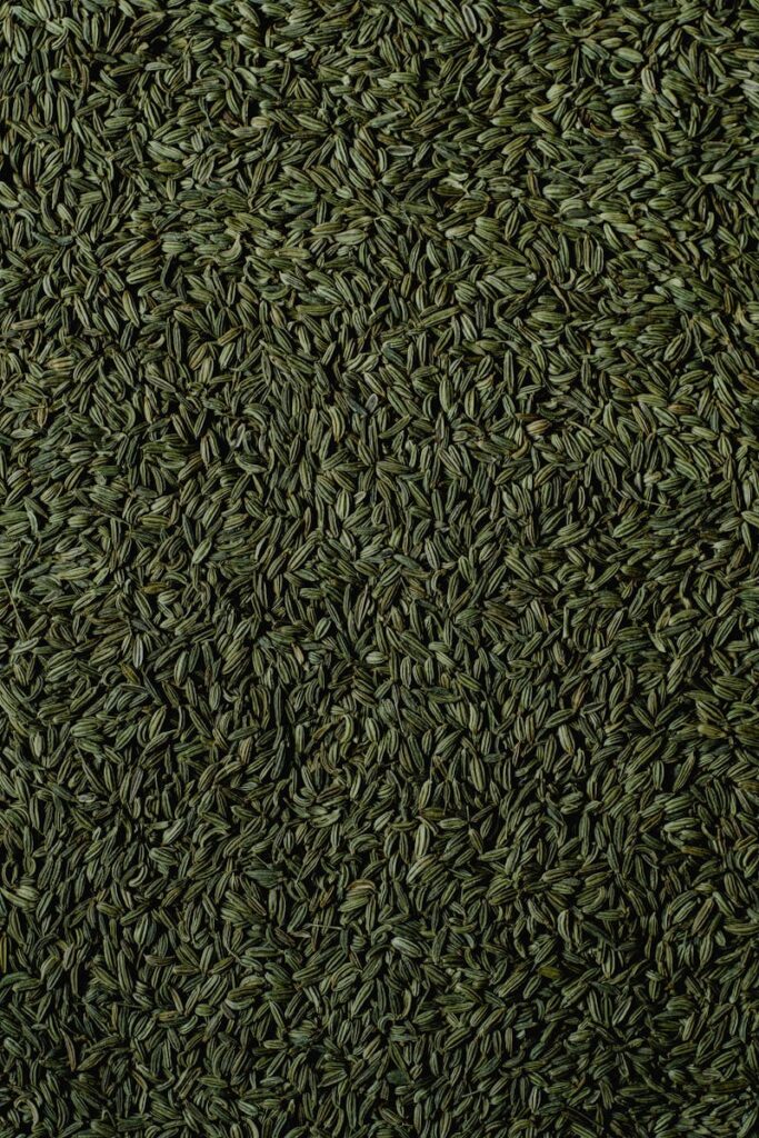 Detailed vertical shot of fennel seeds in natural lighting, showcasing texture.