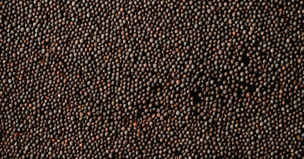 mustard seeds carousel