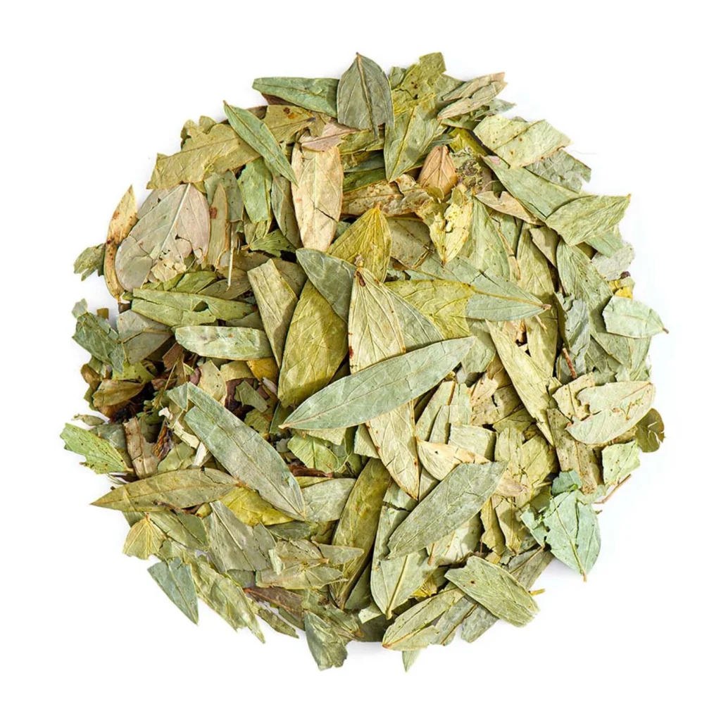 senna-leaves-image